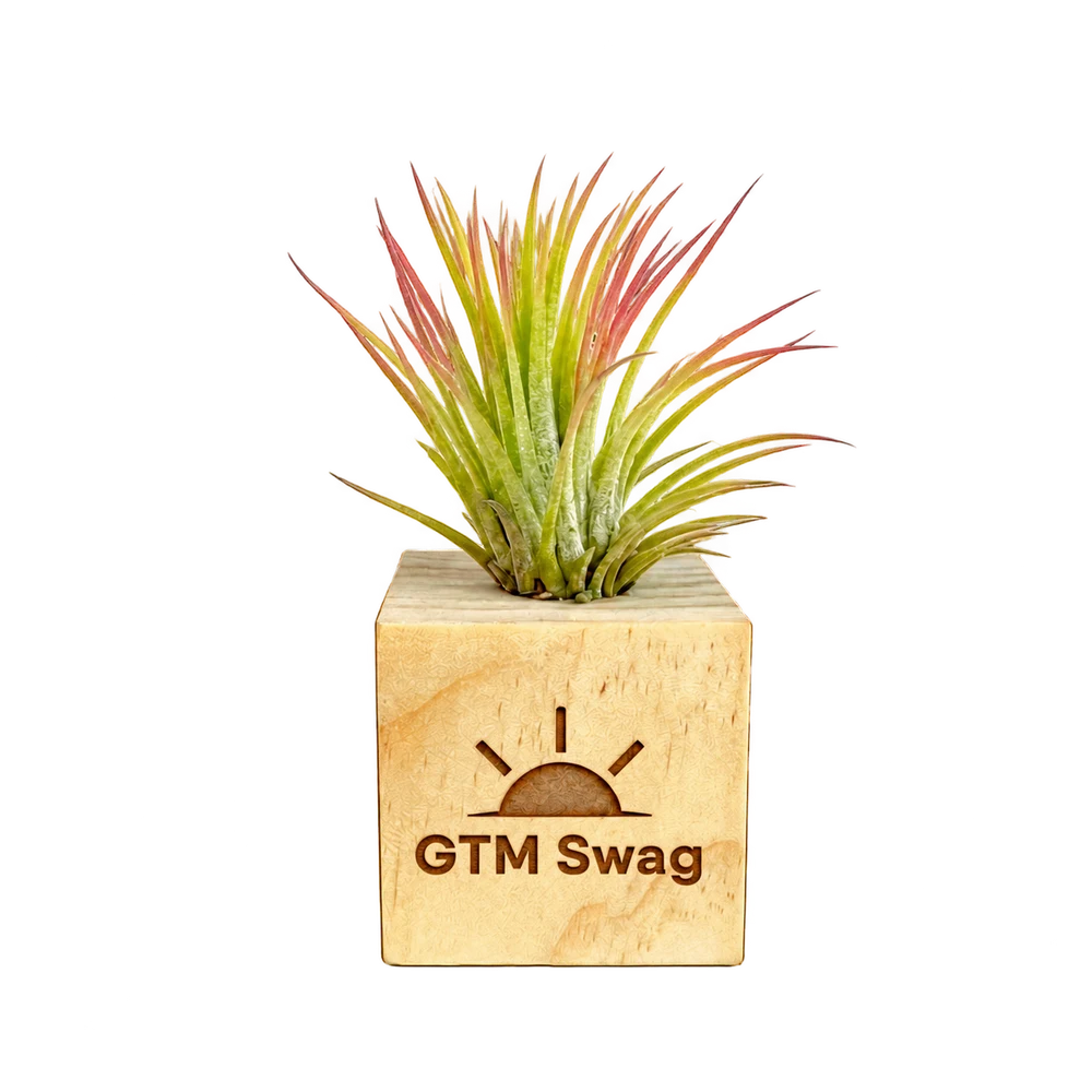 Mini Air Plant Cube, shown with example personalization